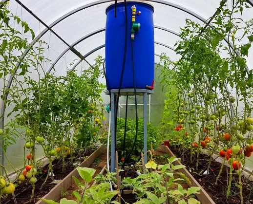 Электронный таймер полива 2 шаровый