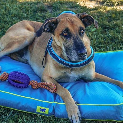 Подушка Ferplast POLO 95 черная со съемным непромокаемым чехлом нейлон