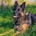 Шлейка Ferplast SPORT DOG L нейлоновая с мягкой подкладкой фуксия