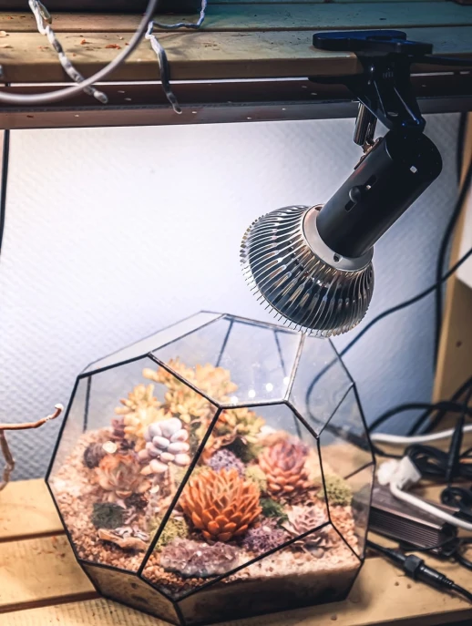 Фитолампа светодиодная Е27 12W