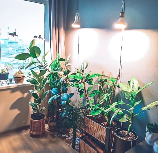 Фитолампа светодиодная Е27 12W