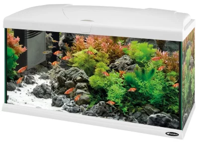 Стеклянный аквариум Ferplast CAPRI 80 LED со светодиодной лампой внутренним фильтром и нагревателем белый 100 л