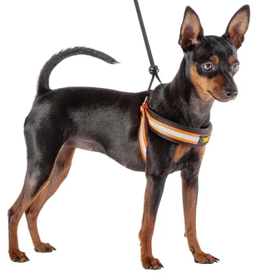 Шлейка Ferplast AGILA REFLEX 1 светоотражающая оранжевая