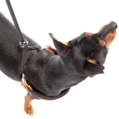 Шлейка Ferplast AGILA REFLEX 1 светоотражающая оранжевая