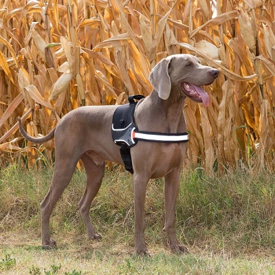 Шлейка Ferplast HERCULES L служебная нейлоновая синяя
