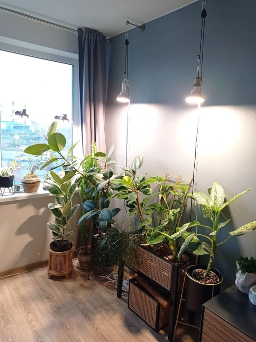 Регулируемый подвес для фитолампы, 2 шт.