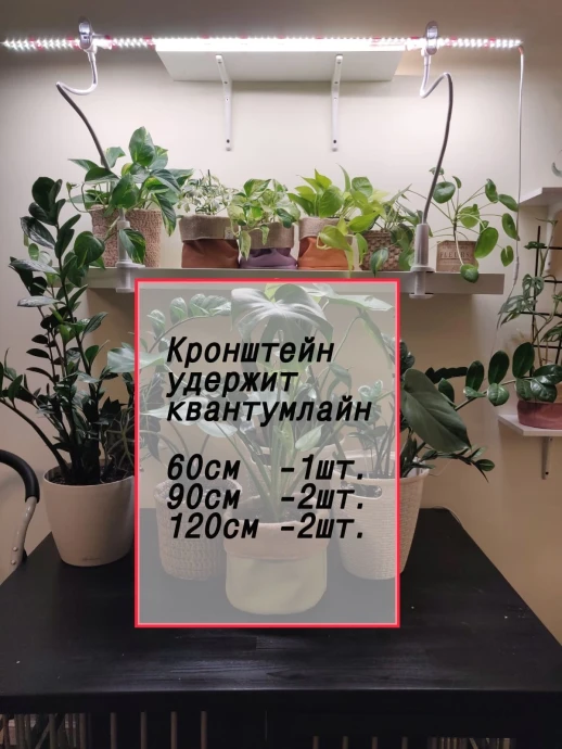 Держатель для фитолампы со струбциной