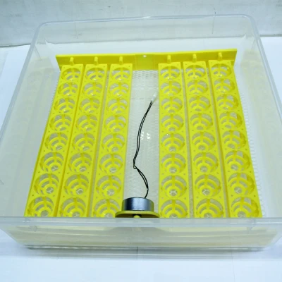 Инкубатор HHD 48