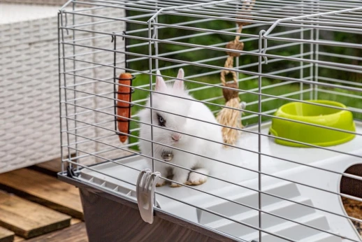 Клетка Ferplast RABBIT 100 NEW для кроликов