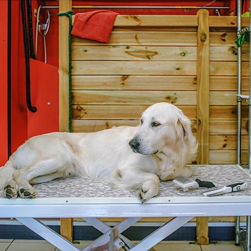 Ferplast GRO 5755 PREMIUM гребень с ручкой двухсторонний для кошек