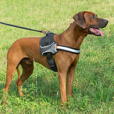 Шлейка Ferplast HERCULES M служебная нейлоновая синяя