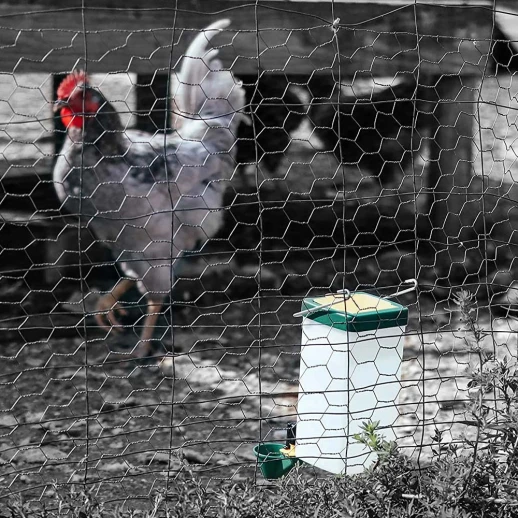 Поилка чашечная с бачком HobbyFarm для кур с креплением на клетку 1 л зеленая