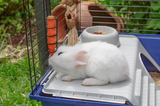 Клетка Ferplast RABBIT 120 NEW для кроликов