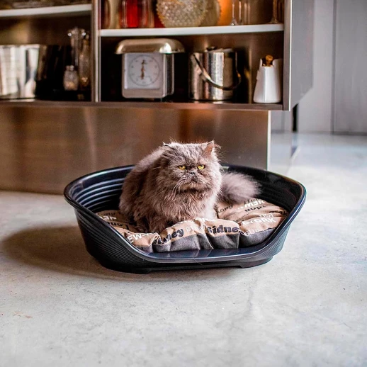 Лежак для собак Ferplast SIESTA DELUXE 4 пластиковый черный