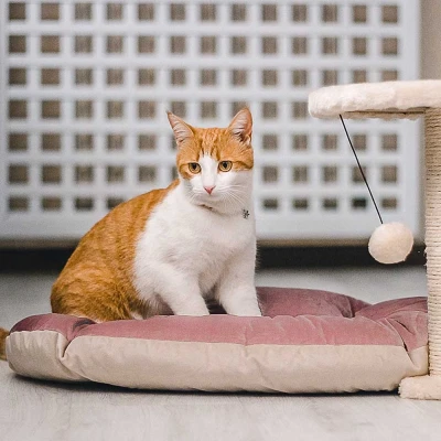 Подушка Ferplast PRINCE 65 розово-бежевая велюр