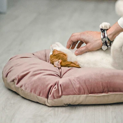 Подушка Ferplast PRINCE 65 розово-бежевая велюр