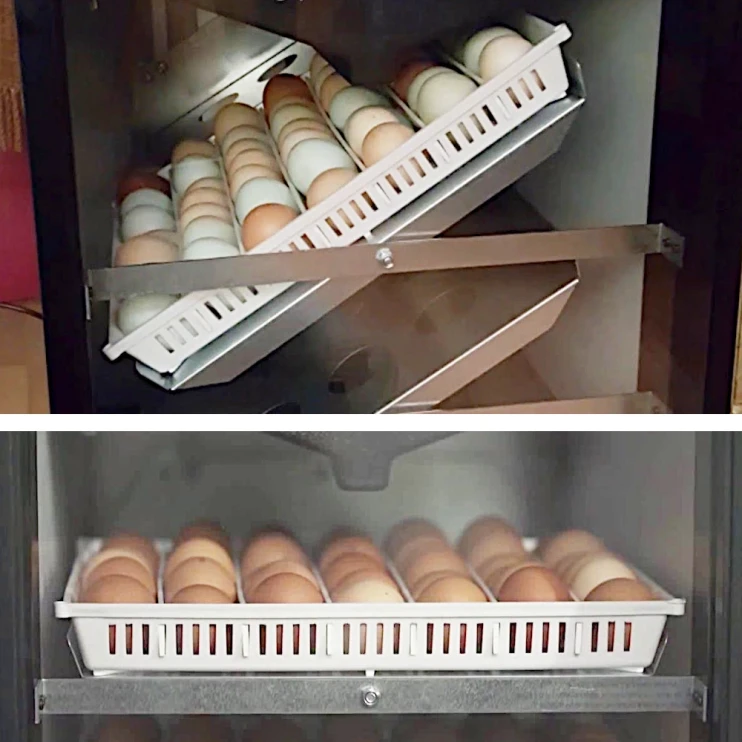 Инкубатор Brinsea OVA-Easy 580 Advance EX Series II