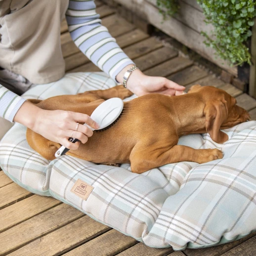 Ferplast GRO 5759 PREMIUM щетка для кошек