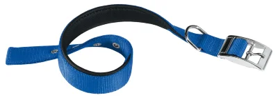 Ошейник Ferplast DAYTONA C20/43 с мягкой подкладкой синий