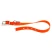 Ошейник Ferplast EVOLUTION CF16/37 с ПВХ покрытием и металлической застежкой оранжевый