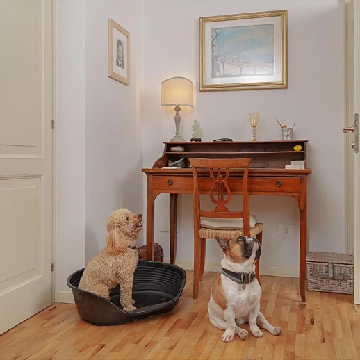 Лежак для собак Ferplast SIESTA DELUXE 6 пластиковый розовый