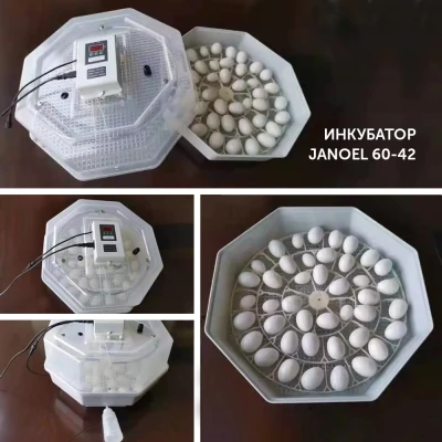 Инкубатор Janoel 60-42 автоматический