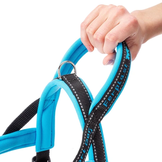 Шлейка Ferplast SPORT DOG XS нейлоновая с мягкой подкладкой голубая