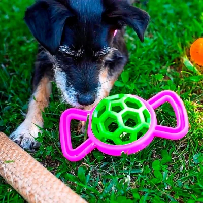 Игрушка для собак Ferplast PA 6352 Medium с колокольчиком термопластик