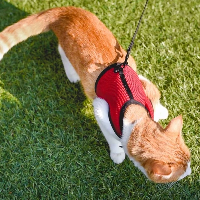 Мягкая шлейка с поводком Ferplast JOGGING EXTRA LARGE для кроликов и кошек