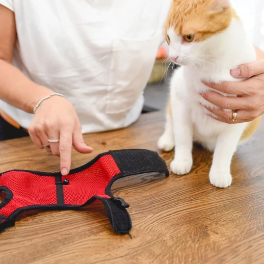 Мягкая шлейка с поводком Ferplast JOGGING EXTRA LARGE для кроликов и кошек