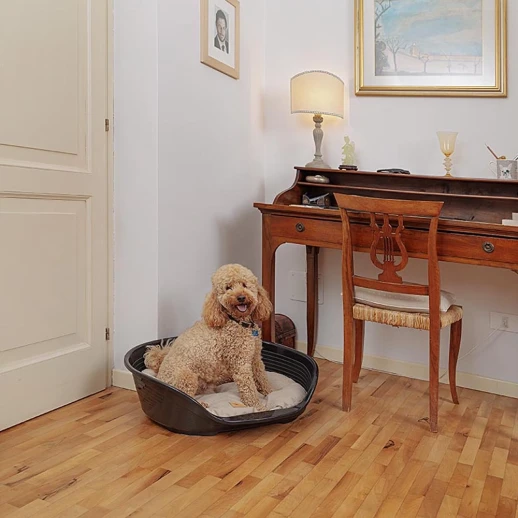 Лежак для собак Ferplast SIESTA DELUXE 6 пластиковый черный