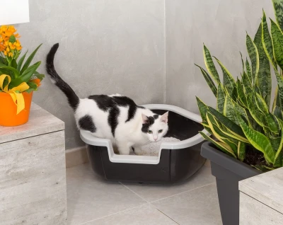 Угловой лоток Ferplast DAMA для кошек.
