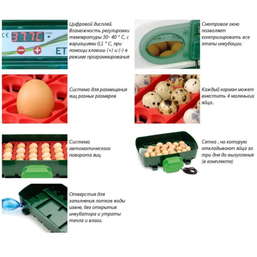 Инкубатор автоматический River COVINA SUPER 12