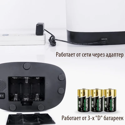 Автокормушка Petwant F1-Camera 4,3 л для сухого корма с видеокамерой, Wi-Fi (IOS/Android), черная