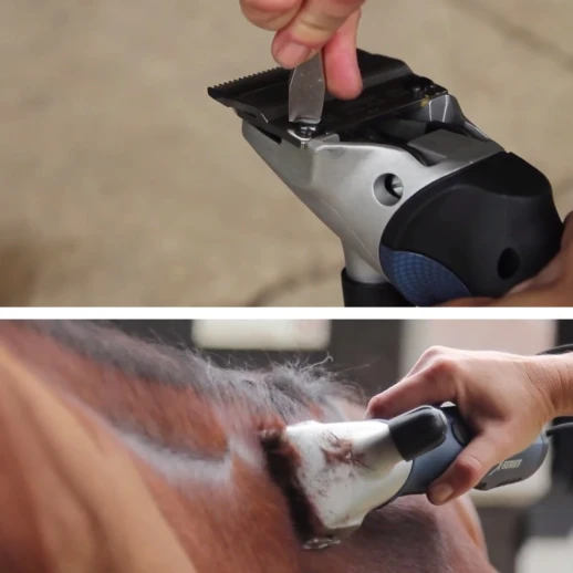 Машинка Heiniger Xplorer для стрижки лошадей и КРС