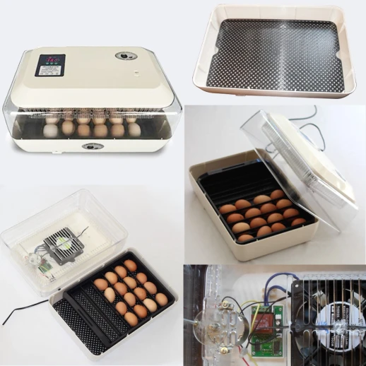 Инкубатор Janoel 24