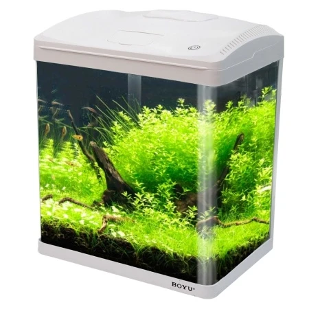 Аквариум Boyu EC-400 панорамный, 33 л, с фильтром и LED-лампой, белый