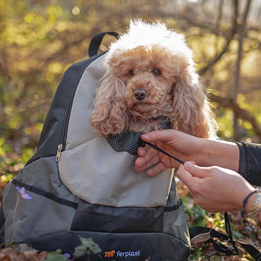 Рюкзак Ferplast KANGOO L серый полиэстер