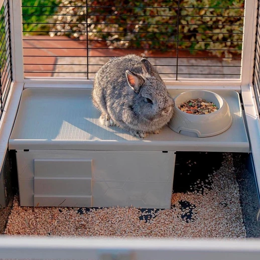 Клетка Ferplast ARENA 100 NERA для морских свинок и кроликов деревянная