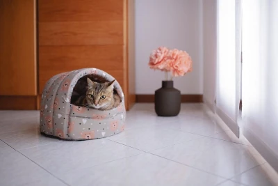 Мягкий домик Ferplast ALVEO Medium для кошек Голубые джинсы