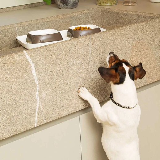 Пластиковый поднос с серыми мисками Ferplast GLAM S для кошек и собак