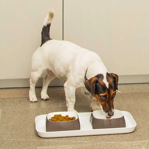 Пластиковый поднос с серыми мисками Ferplast GLAM S для кошек и собак