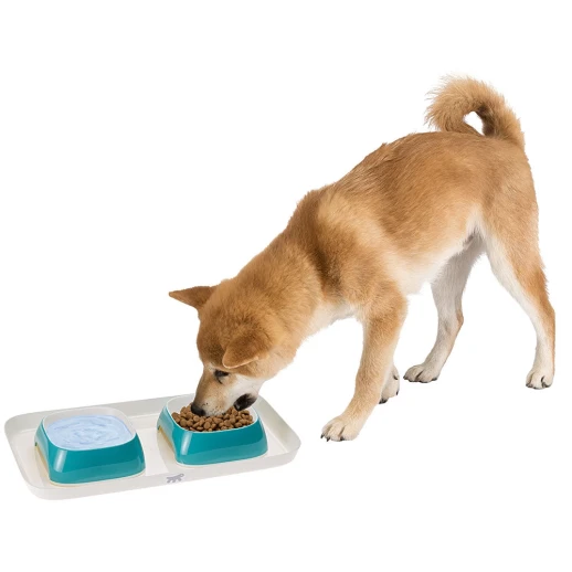 Пластиковый поднос с серыми мисками Ferplast GLAM S для кошек и собак