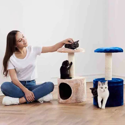 Когтеточка-домик для котят Pet Choice 26х26х50 см темно-синий