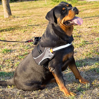 Шлейка Ferplast HERCULES XL служебная нейлоновая красная