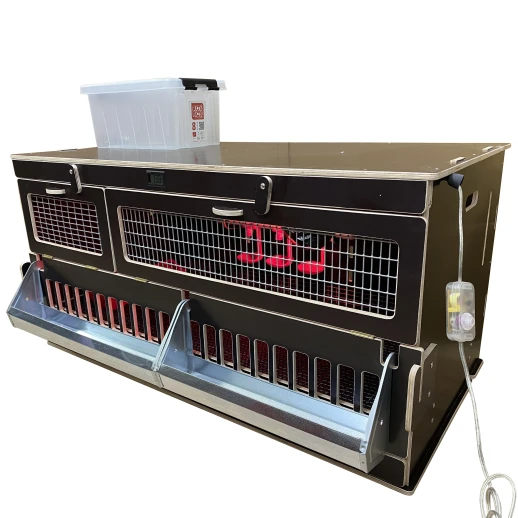 Брудер для цыплят МирПтиц Комфорт 3