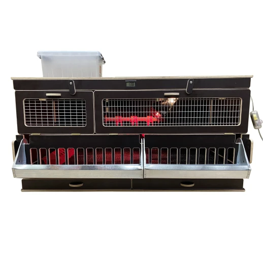 Брудер для цыплят МирПтиц Комфорт 3