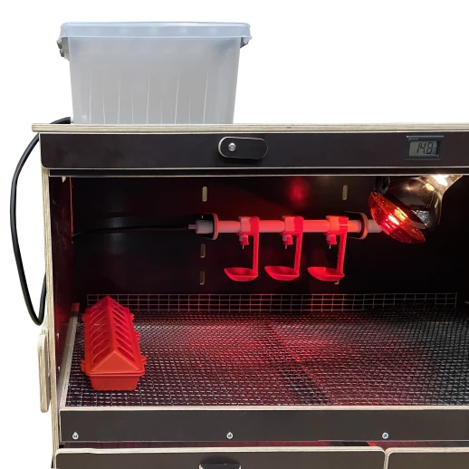 Брудер для цыплят МирПтиц Комфорт 3