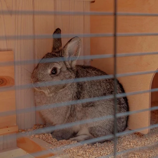 Клетка Ferplast RANCH 100 BASIC для кроликов деревянная