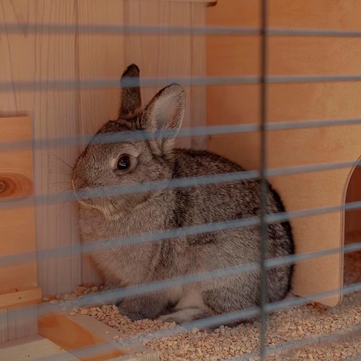 Клетка Ferplast RANCH 100 BASIC для кроликов деревянная